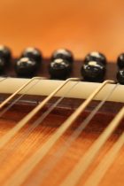1974-Martin-D12-20-TO0038