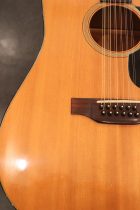 1974-Martin-D12-20-TO0038