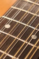 1974-Martin-D12-20-TO0038