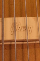 1975-LP-SIG-BASS-GT