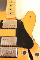 1976-STARCASTER-NAT