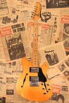 1976-STARCASTER-NAT