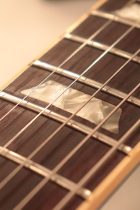 1980-LP-STD-B.Blue-TG0313