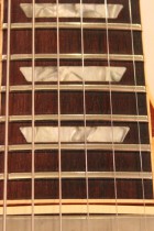 1981-LP-STD80-SB