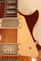 1981-LP-STD80-SB