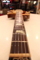 1981-LP-STD80-SB