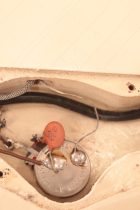 1965-SG-Jr-PWHーTG0308