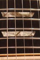 1950s-LP-STD-GT-Con-TG0022