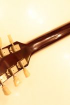 1950s-LP-STD-GT-Con-TG0022