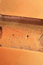 1950s-LP-STD-GT-Con-TG0022