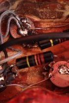 1950s-LP-STD-SB-Con-TG0007