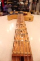 1951-TL-BLD