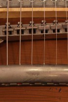 1954-LP-STD-COM-GT