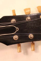 1954-LP-STD-COM-GT