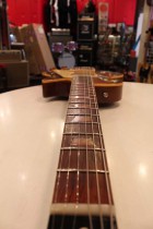 1954-LP-STD-COM-GT