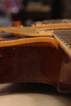 1954-LP-STD-COM-GT