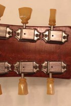 1954-LP-STD-COM-GT