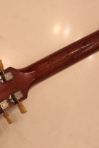 1954-LP-STD-COM-GT