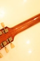 1954-LP-STD-GT2-TG0051