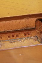 1954-LP-STD-GT7-TG0231