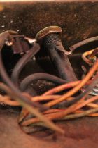 1955-Gibson-LP-TV-Amp