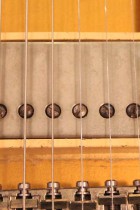 1955-LP-STD-COM-GT