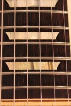 1955-LP-STD-COM-GT