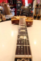 1955-LP-STD-COM-GT