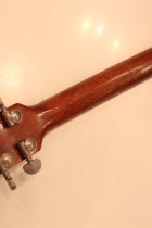 1955-LP-STD-COM-GT