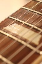 1956-LP-STD-GT-T2-G0221