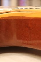 1956-LP-STD-GT-T3-G0246