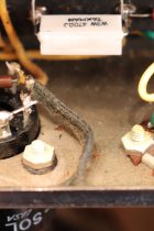 1958-Fender-Harvard-TW-TA0008