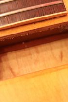 1959-ES-330TD-NAT-TG0111