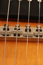 1959-ES330TD-SB-TG0105