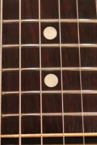 1959-ES335TD-SB-TG0009