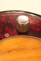 1959-Electric-Mandolin-SB