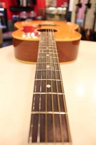 1959-J50-NAT