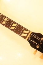1960-ES-175D-NAT-TG0214