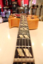 1960-ES175D-BLD