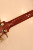 1960-ES175D-BLD