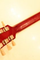 1960-ES335TD-CH-TG0005