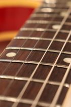 1960-ES335TD-CH-TG0005