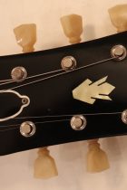 1960-ES335TD-CH2-TG0120