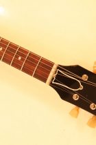 1960-ES335TD-CH2-TG0120