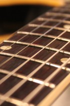 1960-ES335TD-SB2