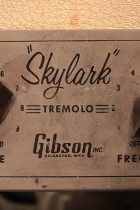 1960-LP-SP-CH2-TG0264