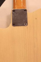 1960-TL-BLD3