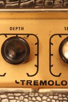 1960s-Selmer-Constellation14-CrocSkin-TA0007