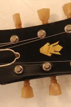 1961-ES335-SB2-TG0201