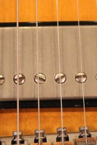 1961-ES335TD-SB2